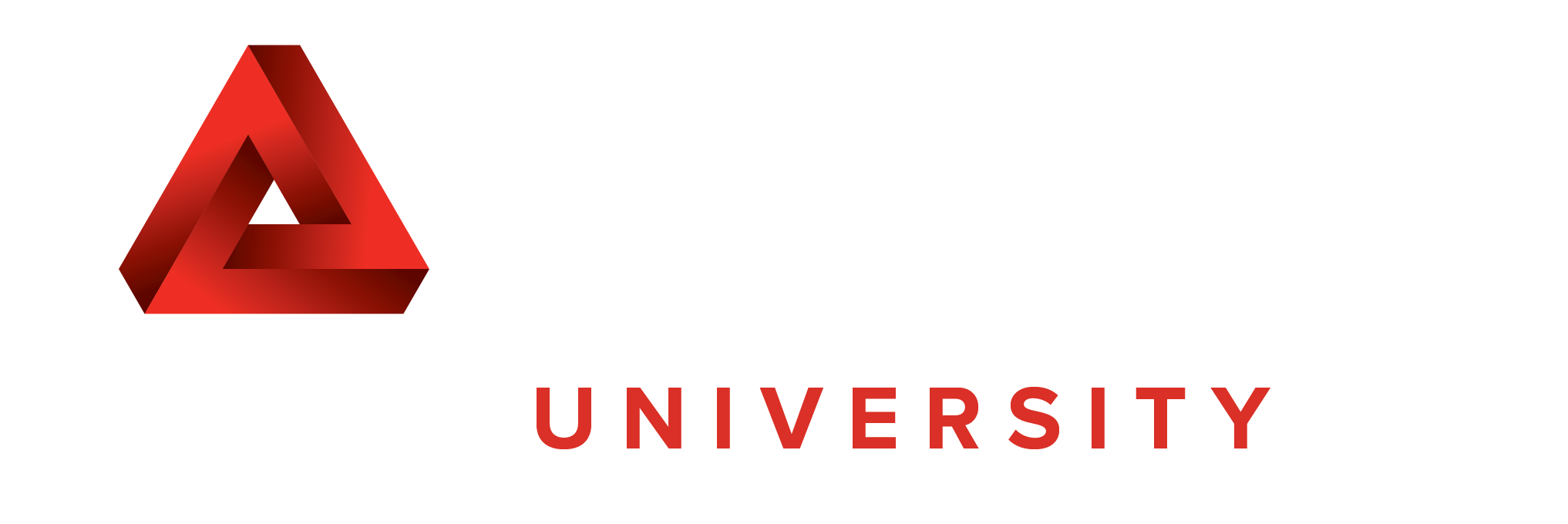 Success Education Colleges Logo
