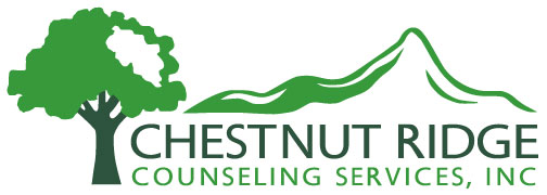 SCOUT BOATS INC Logo