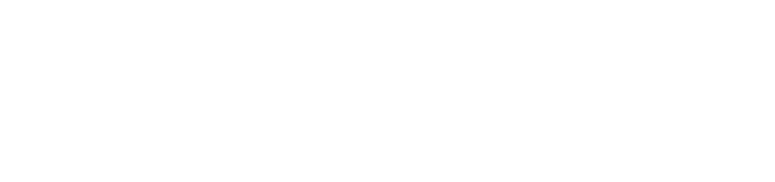 Southeast Healthcare Logo